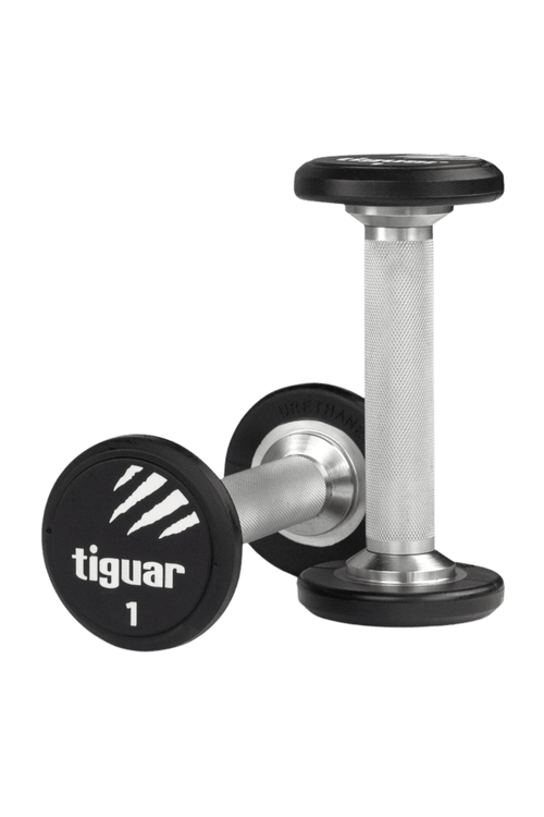 PU Dumbbells – Hochwertige Polyurethan-Hanteln für professionelles Krafttraining