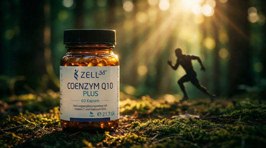 Coenzym Q10 – Wirkung, Dosierung & Testsieger 2026