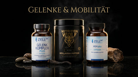 Gelenke & Mobilität