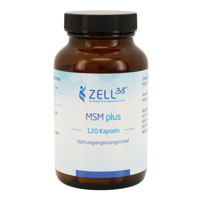 MSM Plus 120 Kapseln – Hochdosiertes MSM für Gelenke & Muskeln