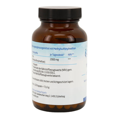 MSM Plus 120 Kapseln – Hochdosiertes MSM für Gelenke & Muskeln