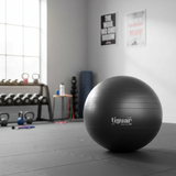 Body Ball Safety Plus