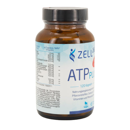 ATP Plus Daily Energy 120 Kapseln – Energie, Fokus & Vitalität