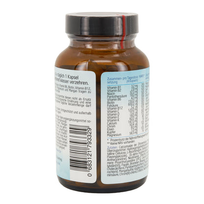 ATP Plus Daily Energy 120 Kapseln – Energie, Fokus & Vitalität