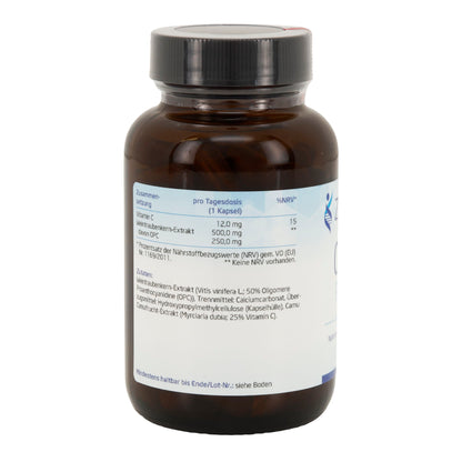 OPC Plus 60 Kapseln – Traubenkern & Vitamin C für Zellschutz