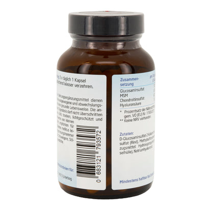 Gelenk Komplex Plus 90 Kapseln – Glucosamin, Chondroitin & MSM