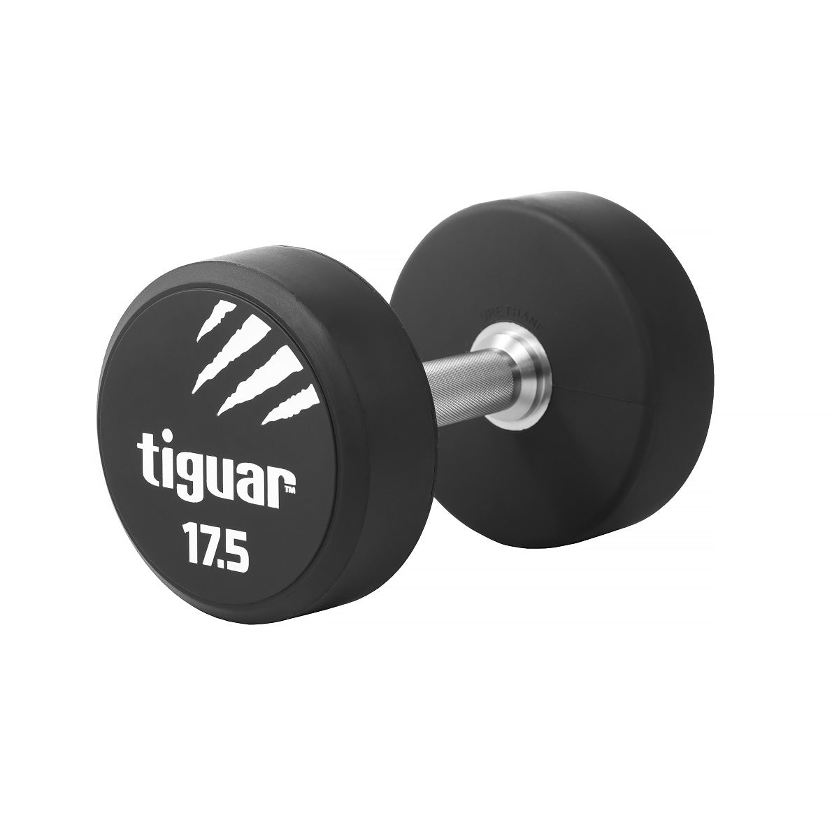PU Dumbbells – Hochwertige Polyurethan-Hanteln für professionelles Krafttraining