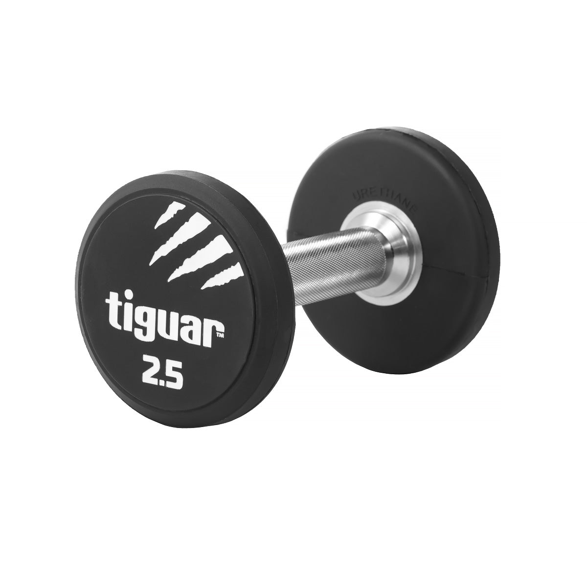 PU Dumbbells – Hochwertige Polyurethan-Hanteln für professionelles Krafttraining
