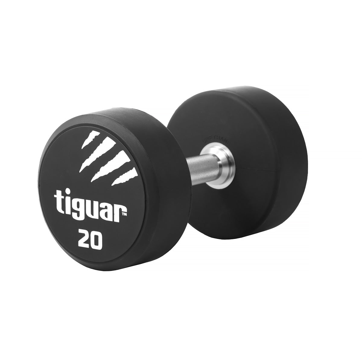 PU Dumbbells – Hochwertige Polyurethan-Hanteln für professionelles Krafttraining