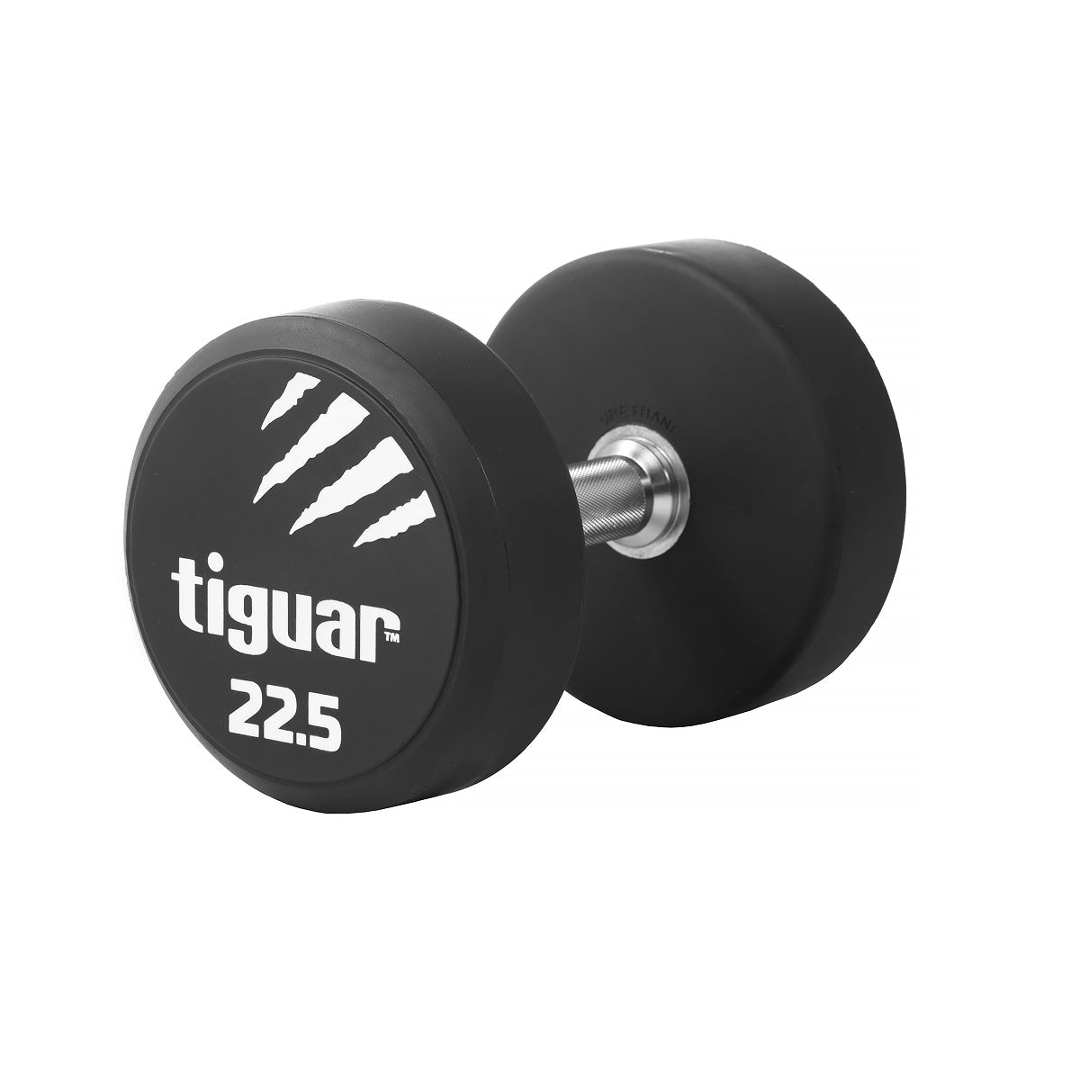 PU Dumbbells – Hochwertige Polyurethan-Hanteln für professionelles Krafttraining