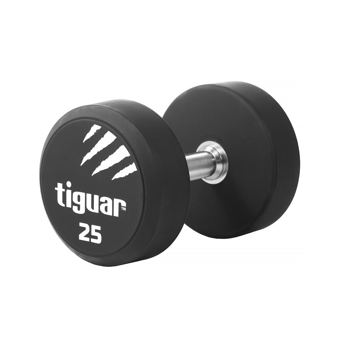 PU Dumbbells – Hochwertige Polyurethan-Hanteln für professionelles Krafttraining