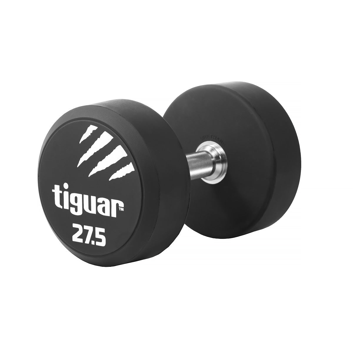 PU Dumbbells – Hochwertige Polyurethan-Hanteln für professionelles Krafttraining