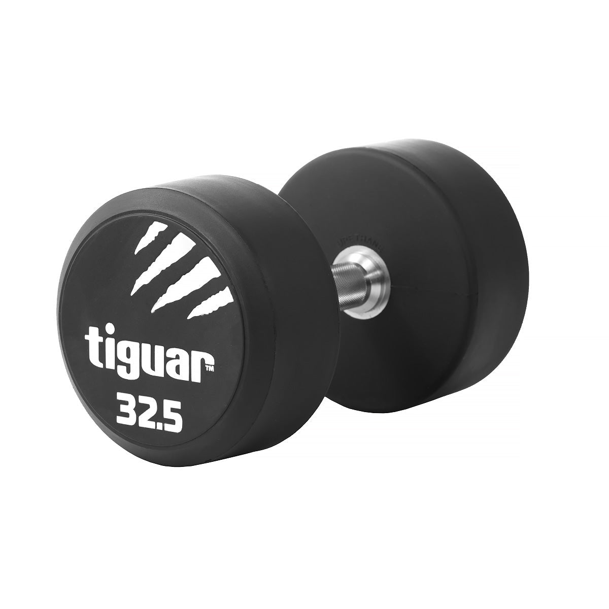 PU Dumbbells – Hochwertige Polyurethan-Hanteln für professionelles Krafttraining