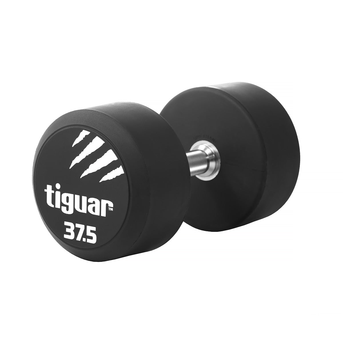PU Dumbbells – Hochwertige Polyurethan-Hanteln für professionelles Krafttraining