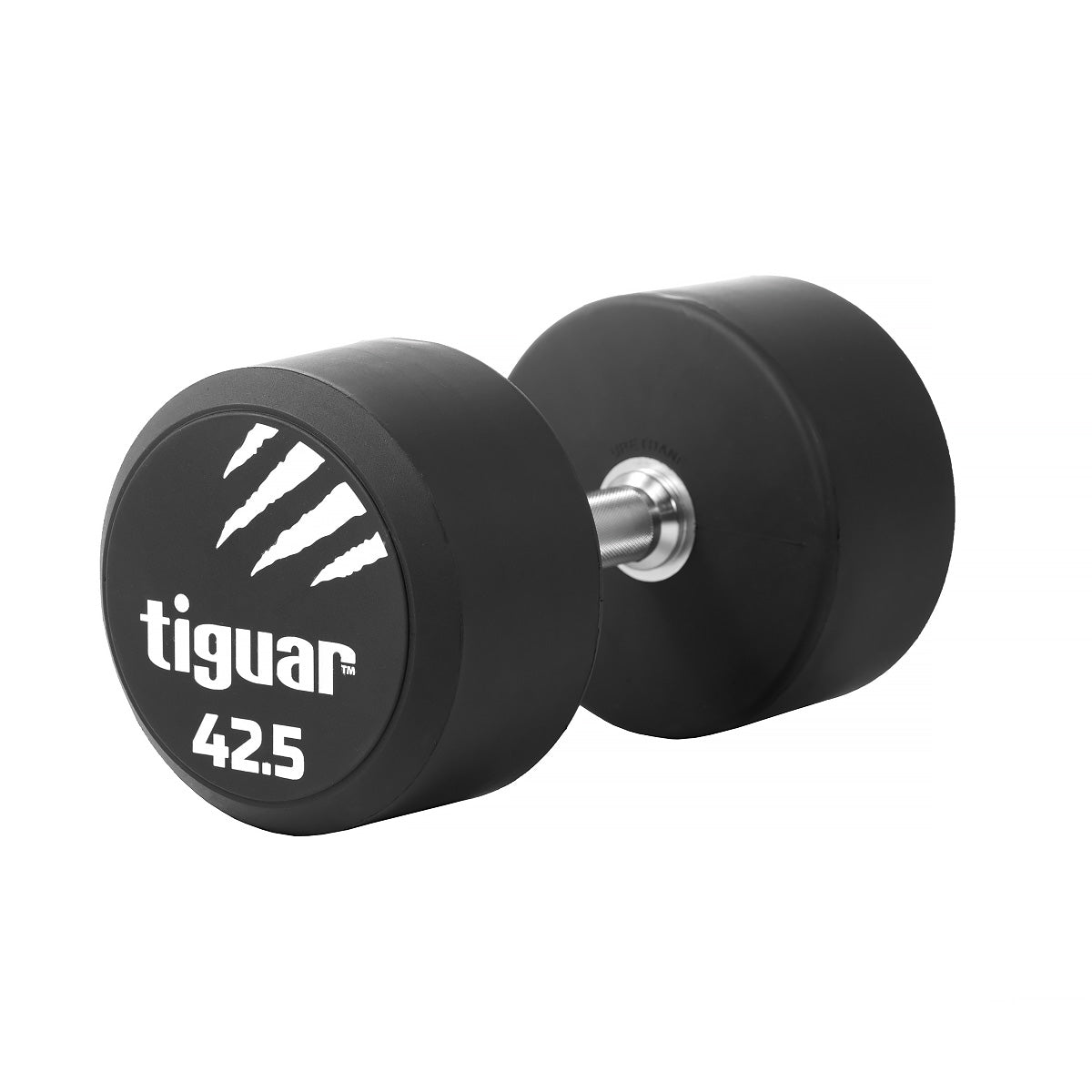 PU Dumbbells – Hochwertige Polyurethan-Hanteln für professionelles Krafttraining