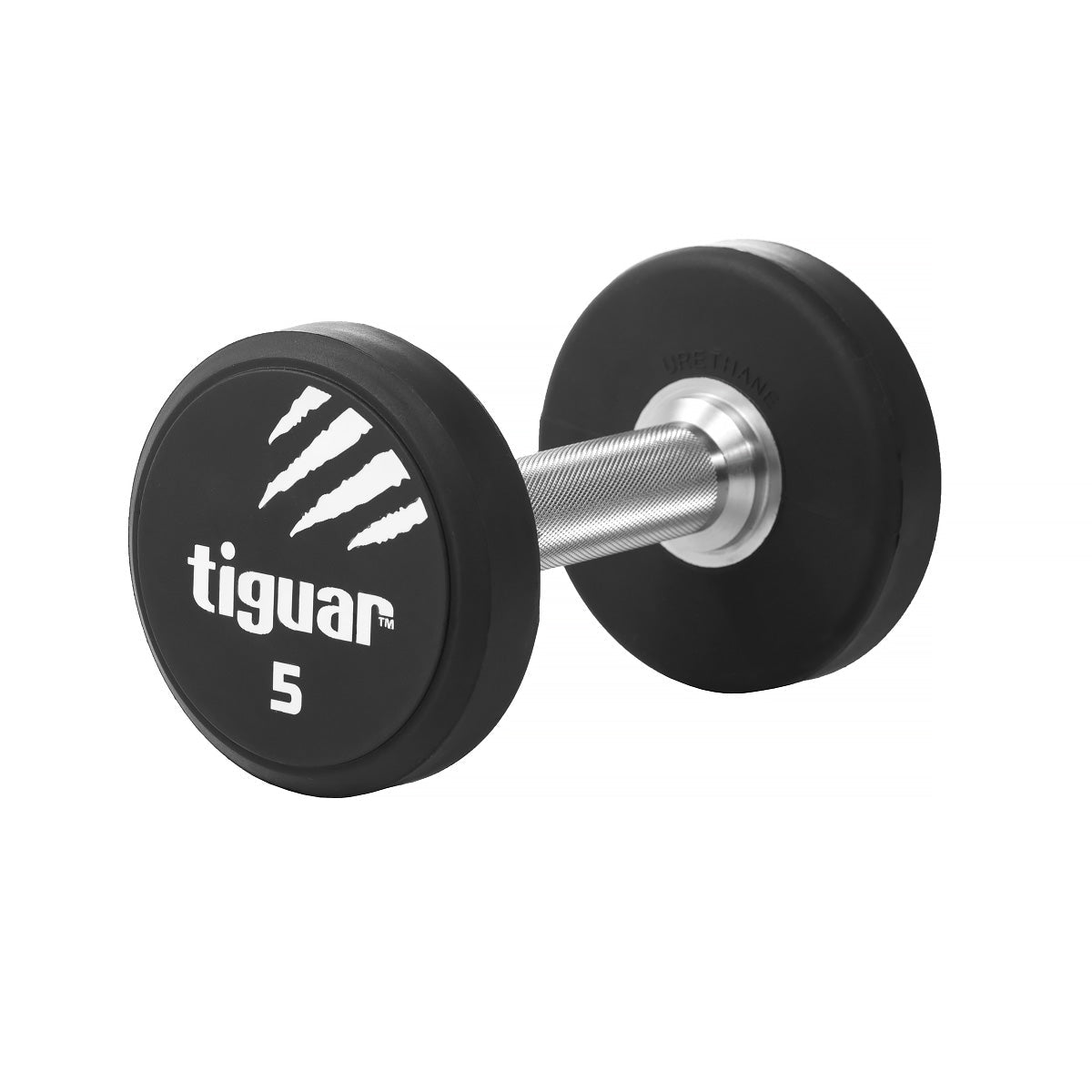 PU Dumbbells – Hochwertige Polyurethan-Hanteln für professionelles Krafttraining