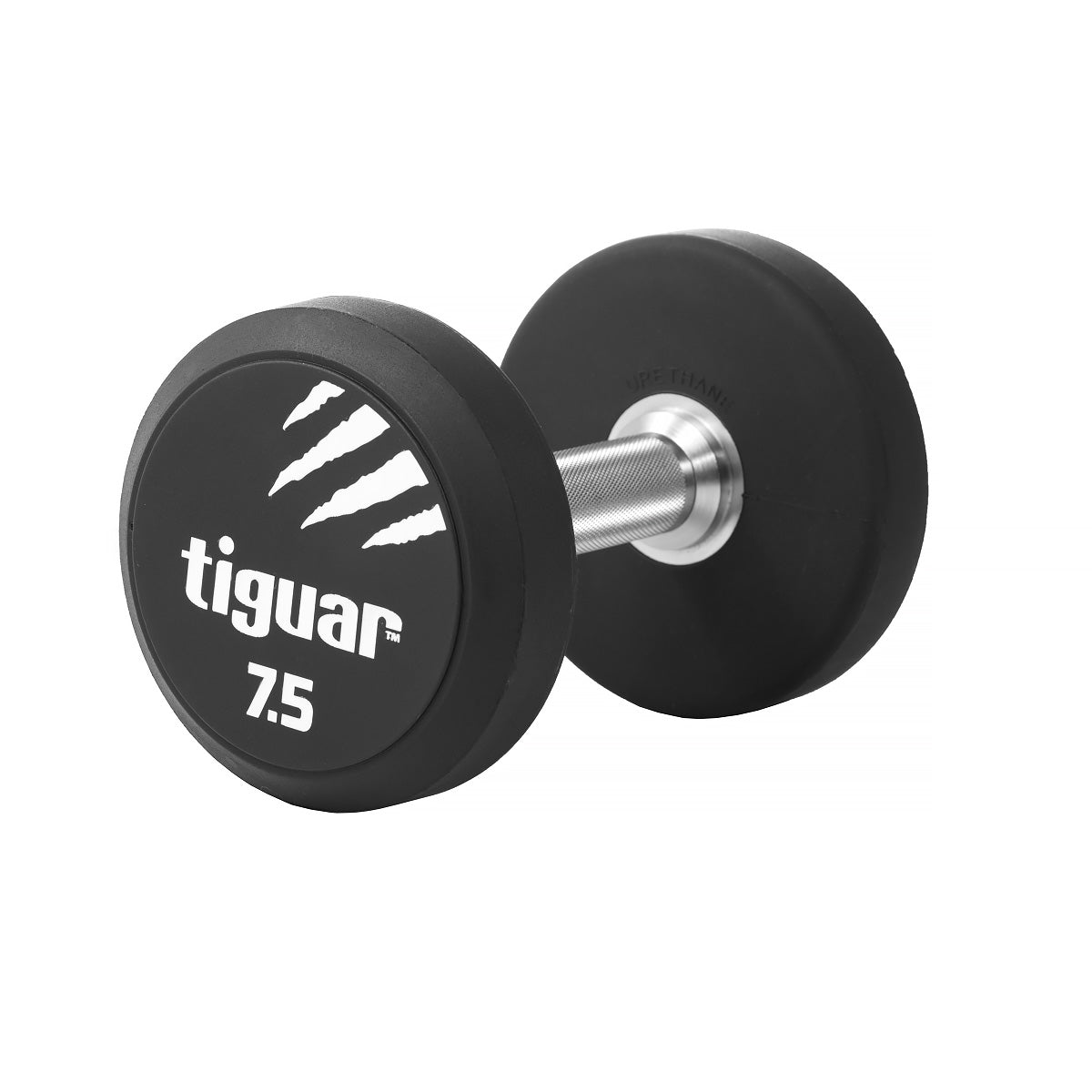 PU Dumbbells – Hochwertige Polyurethan-Hanteln für professionelles Krafttraining