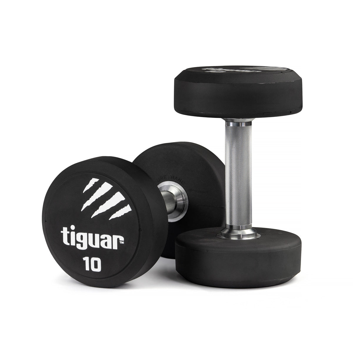 PU Dumbbells – Hochwertige Polyurethan-Hanteln für professionelles Krafttraining