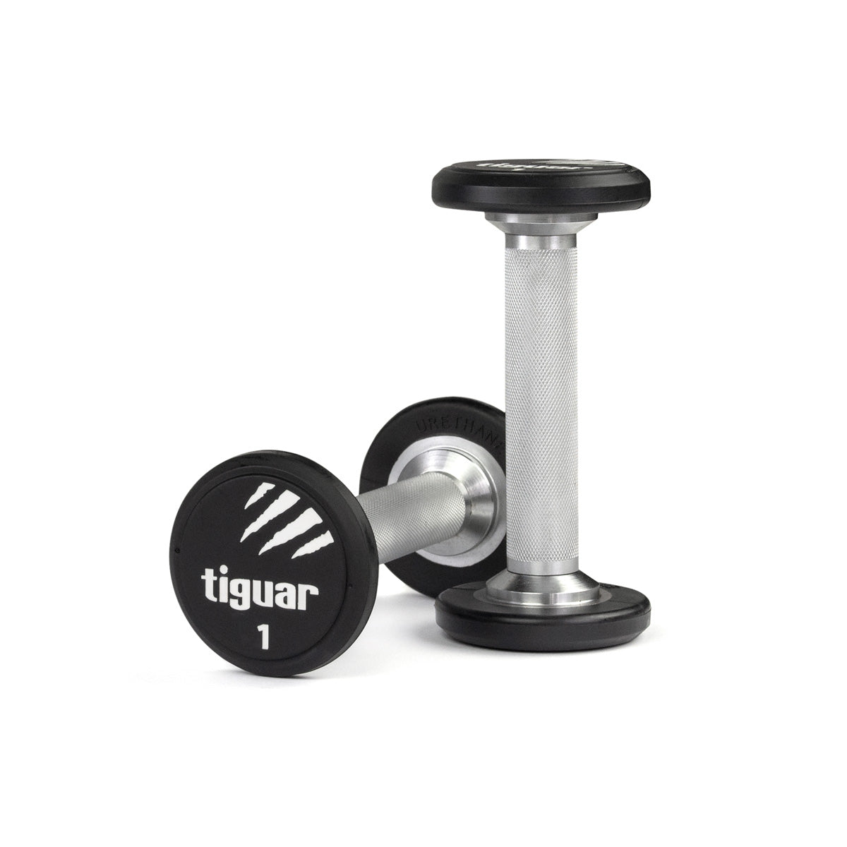 PU Dumbbells – Hochwertige Polyurethan-Hanteln für professionelles Krafttraining