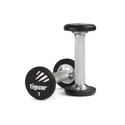 PU Dumbbells – Hochwertige Polyurethan-Hanteln für professionelles Krafttraining