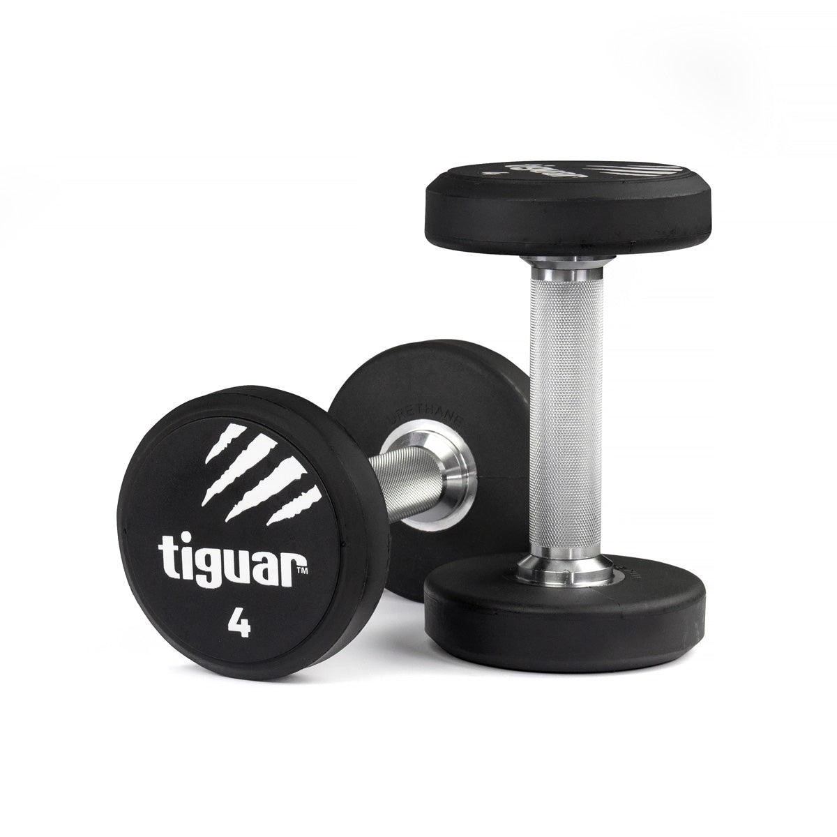 PU Dumbbells – Hochwertige Polyurethan-Hanteln für professionelles Krafttraining