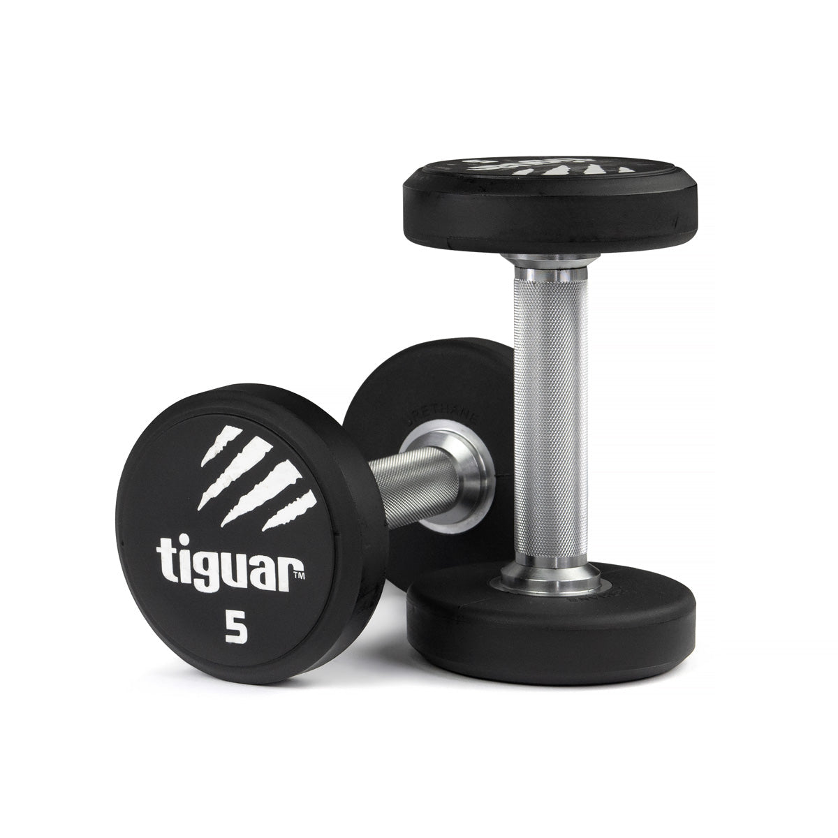 PU Dumbbells – Hochwertige Polyurethan-Hanteln für professionelles Krafttraining