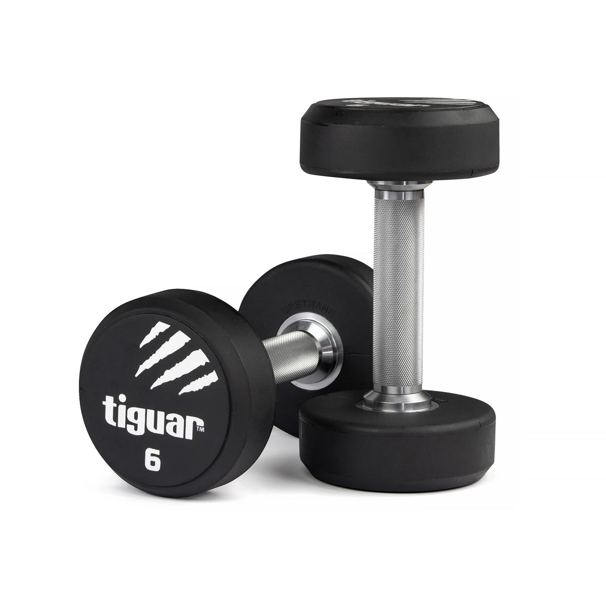 PU Dumbbells – Hochwertige Polyurethan-Hanteln für professionelles Krafttraining