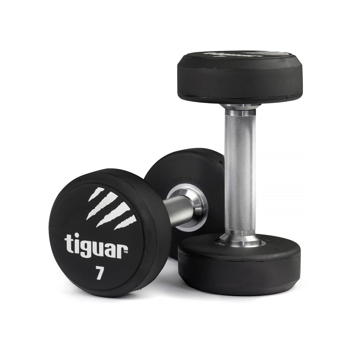 PU Dumbbells – Hochwertige Polyurethan-Hanteln für professionelles Krafttraining