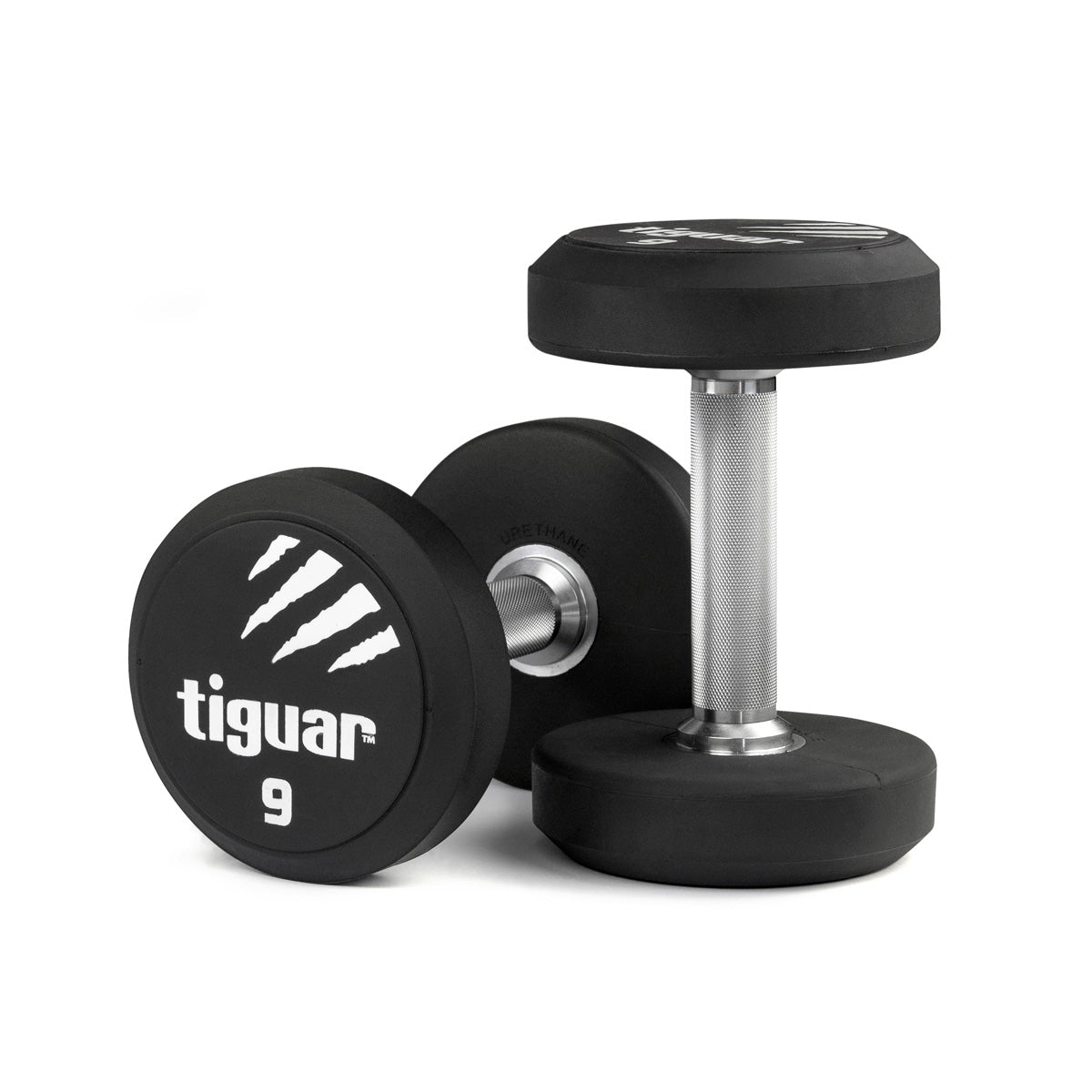 PU Dumbbells – Hochwertige Polyurethan-Hanteln für professionelles Krafttraining