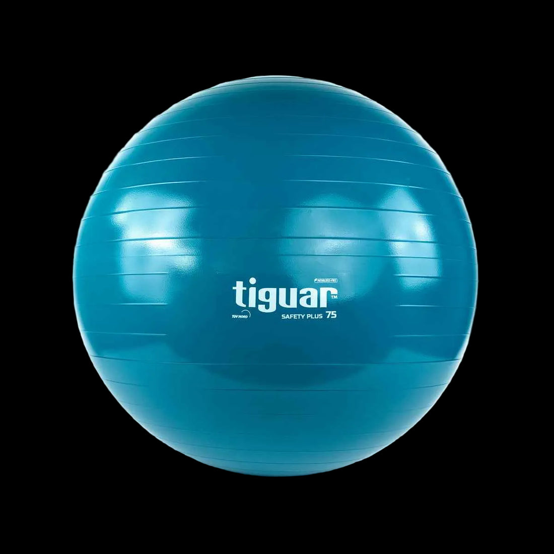 Body Ball Safety Plus Blau 75cm